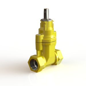 GAS AVK DN50 sevice valve